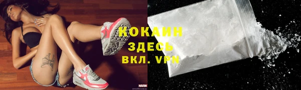 крисы Гусев
