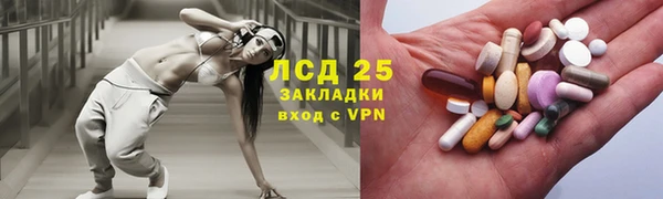 крисы Гусев