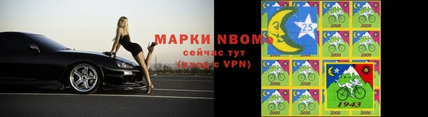 твердый Гусь-Хрустальный