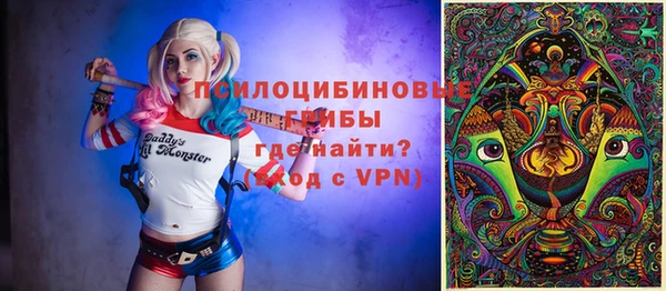 твердый Гусь-Хрустальный