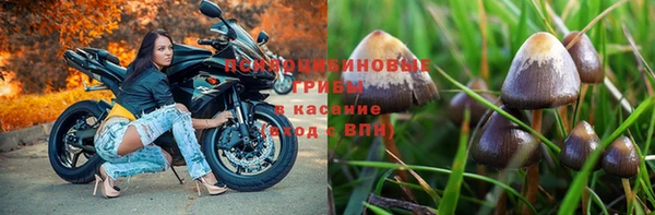 твердый Гусь-Хрустальный