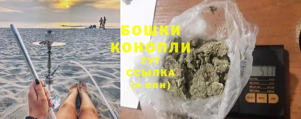 крисы Гусев
